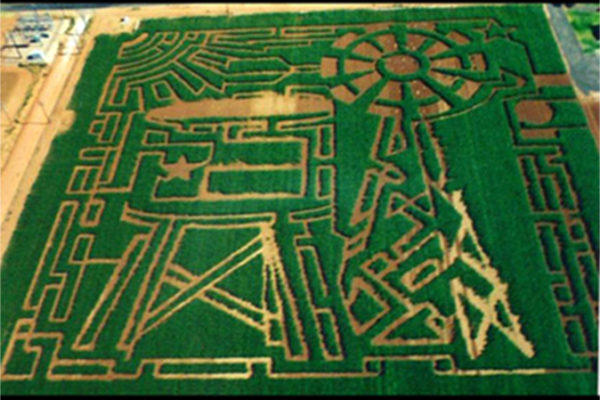 TheMaze2001