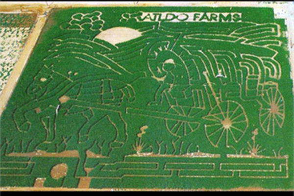 TheMaze2002 copy