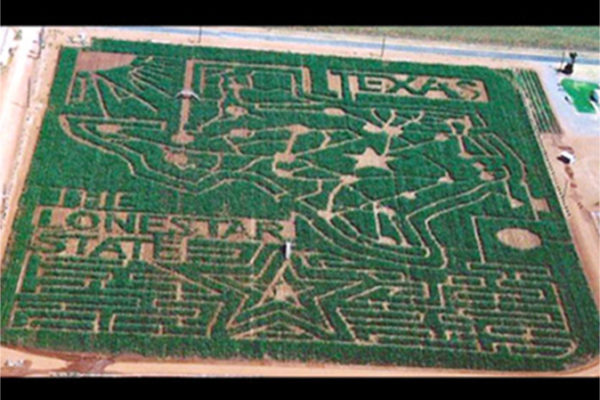 TheMaze2003 copy