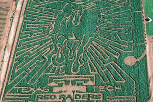 TheMaze2004 copy