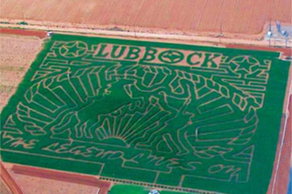 TheMaze2006