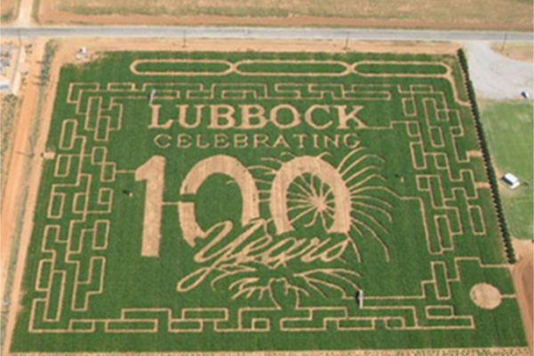 TheMaze2008 copy