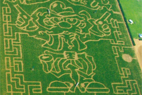 TheMaze2009 copy