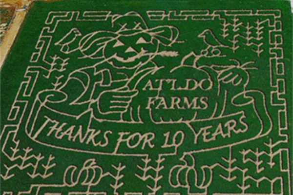 TheMaze2010 copy
