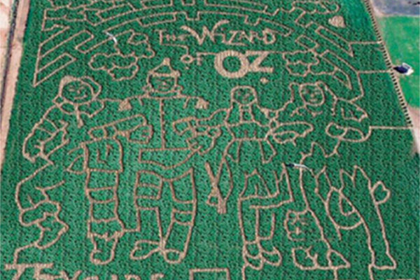 TheMaze2013