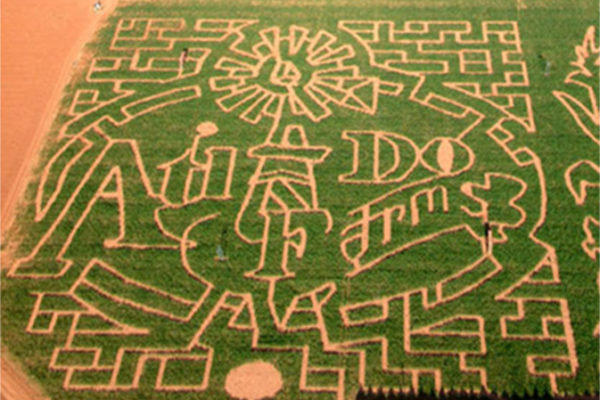 TheMaze2014