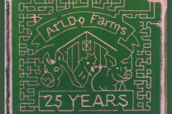 25_Years_At'l_Do_Farms_Maze