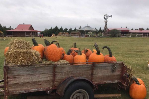 At'l_Do_Farms_maze_photo1